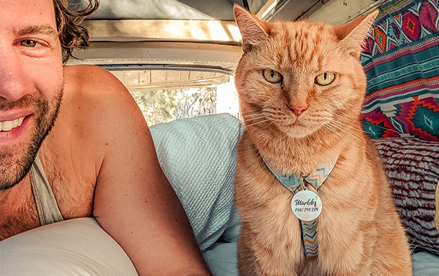 Marbles the cat was adopted at Clear the Shelter in 2018